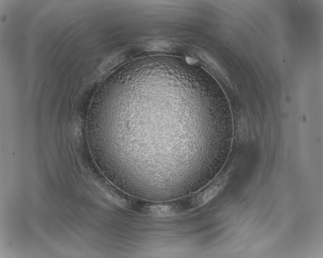 X0000076370265200610161057