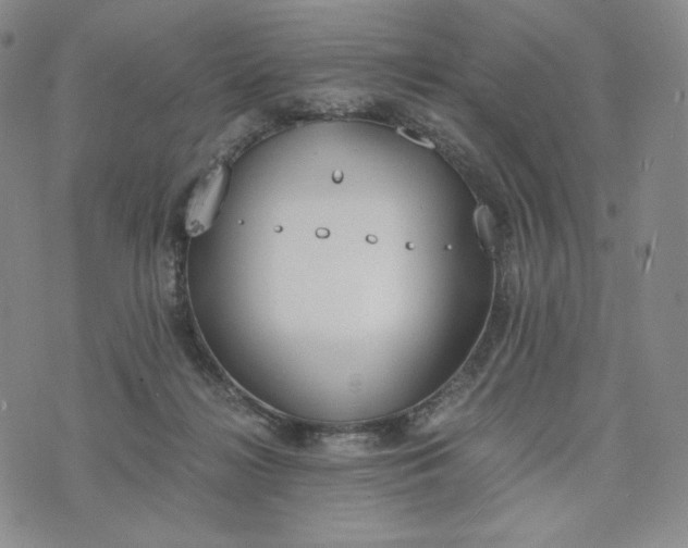 X0000076370268200610161057