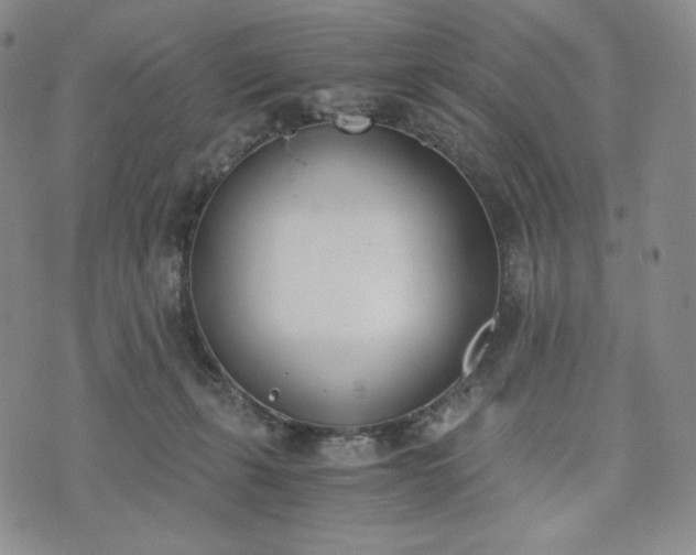 X0000076370271200610161057