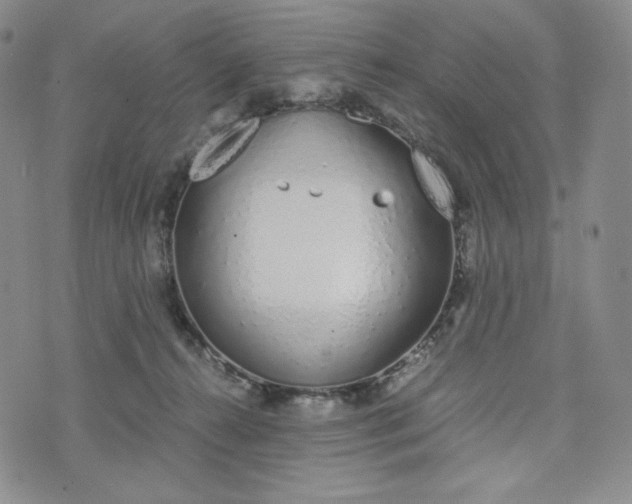 X0000076370272200610161057