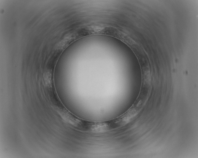 X0000076370274200610161057