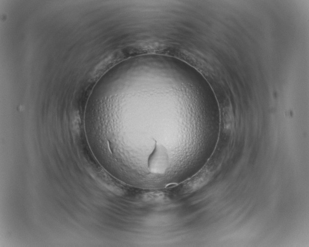 X0000076370279200610161057