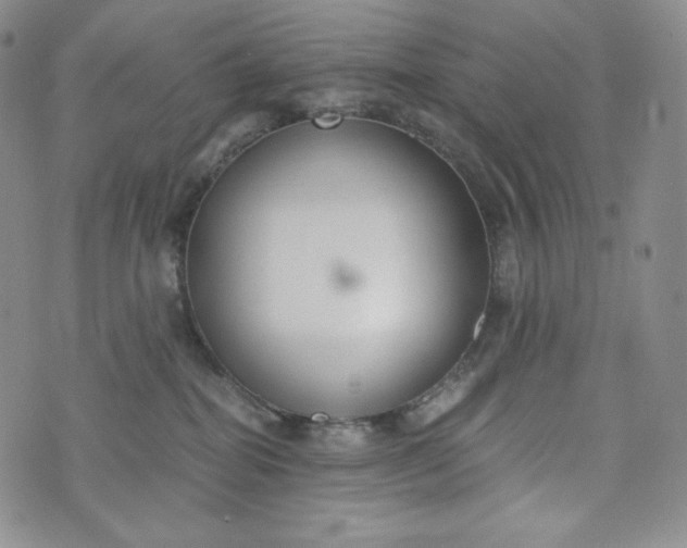 X0000076370282200610161057