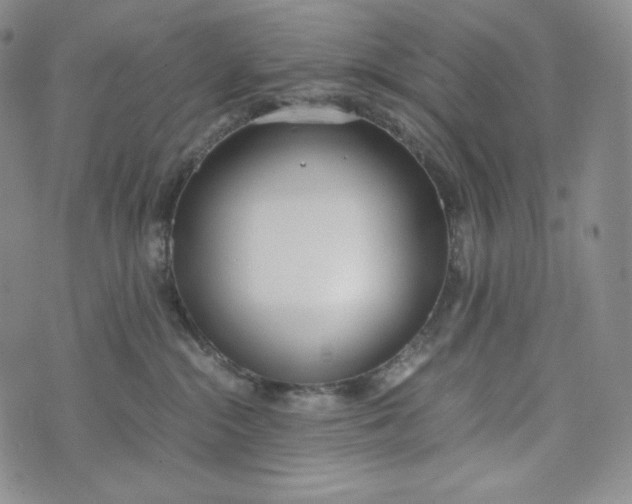 X0000076370284200610161057