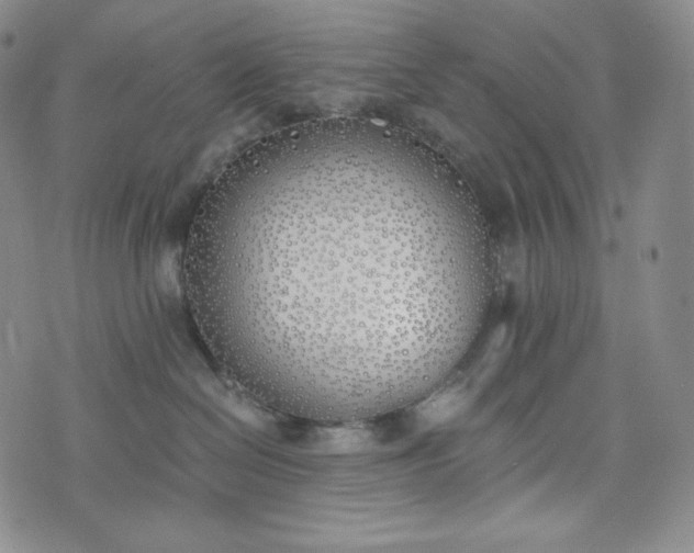 X0000076370286200610161058