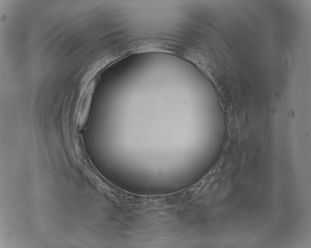 X0000076370289200610161057