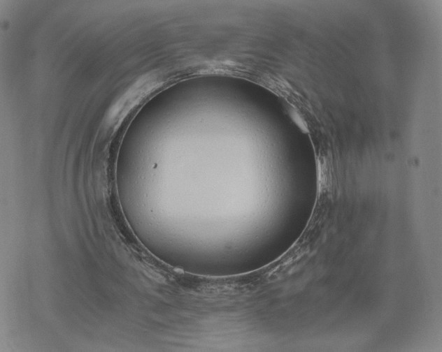 X0000076370291200610161057