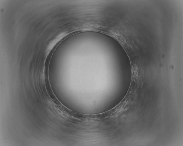 X0000076370292200610161057