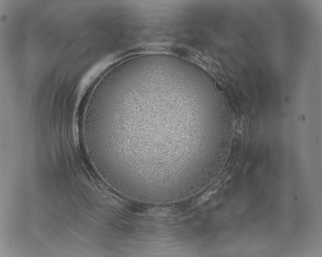 X0000076370294200610161057