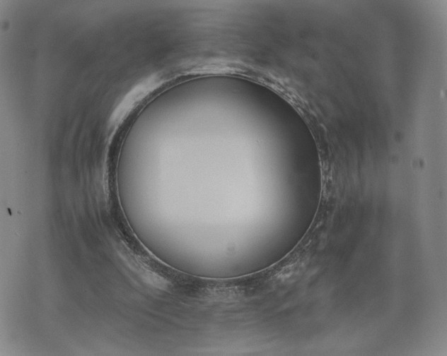 X0000076370296200610161057