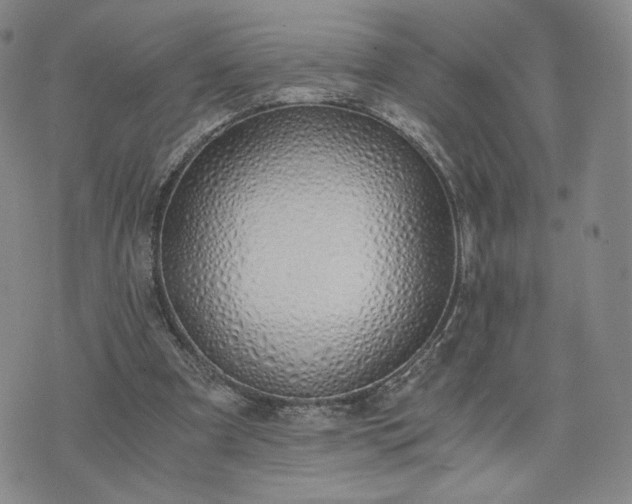 X0000076370297200610161057