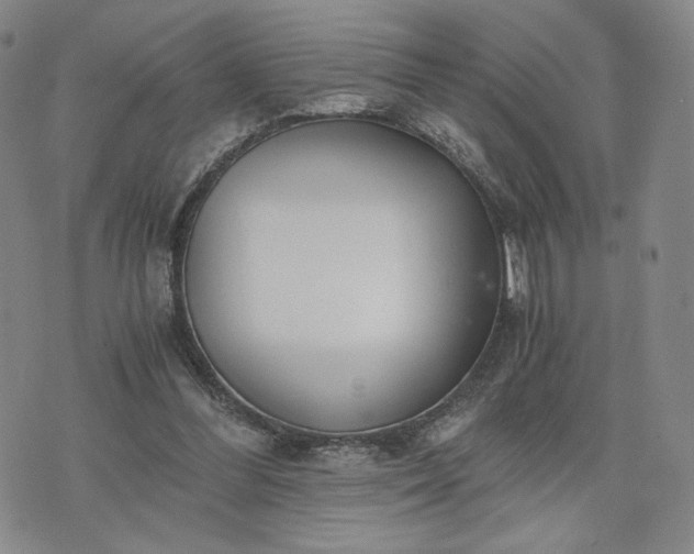 X0000076370300200610161057
