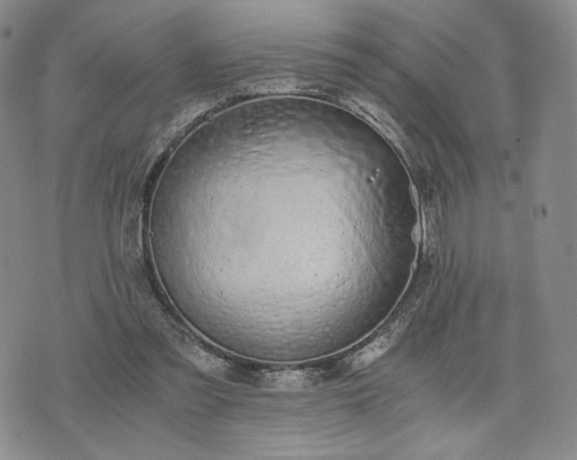 X0000076370301200610161057