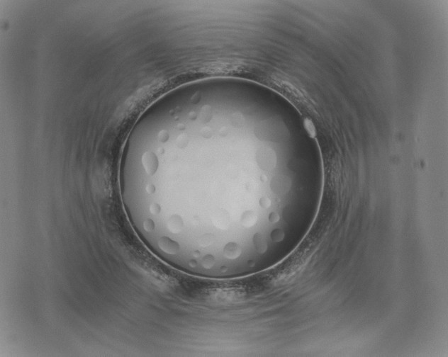 X0000076370303200610161057