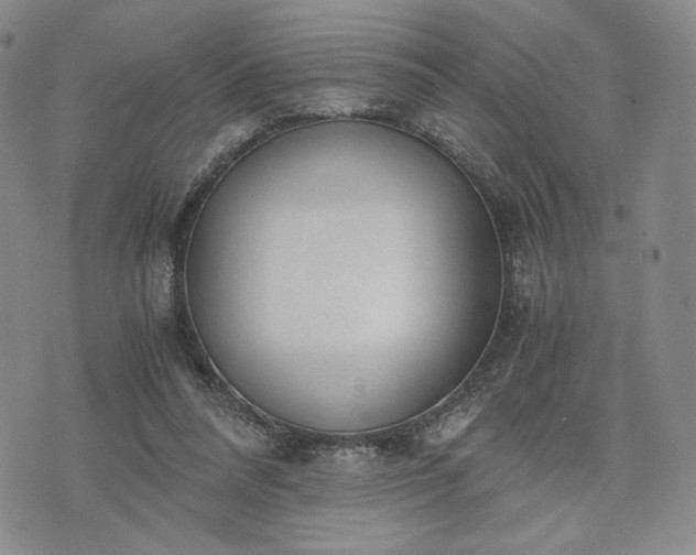 X0000076370304200610161057