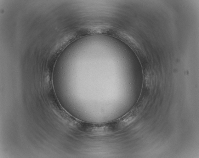 X0000076370314200610161056