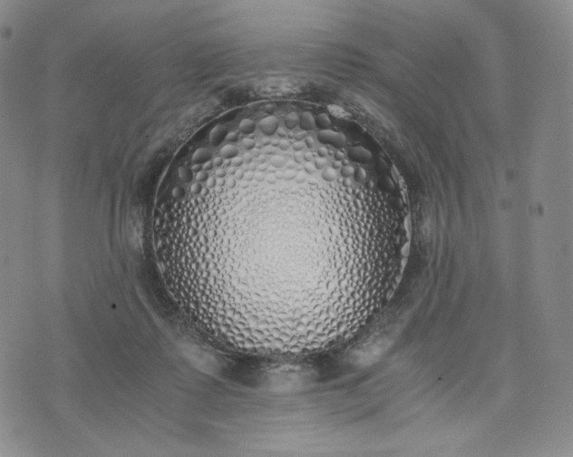X0000076370315200610161056
