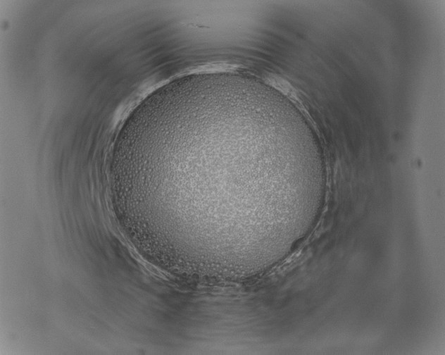 X0000076370337200610161055