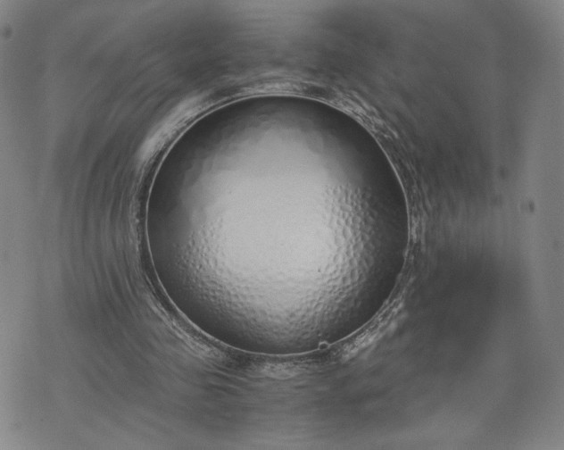 X0000076370341200610161055