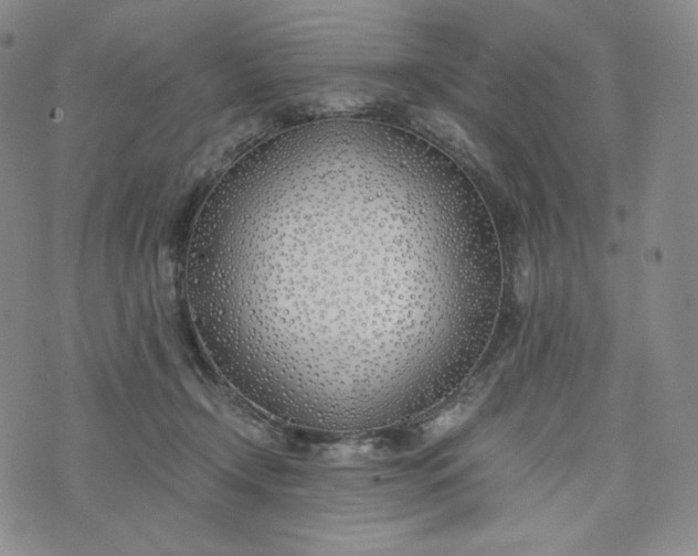 X0000076370366200610161056