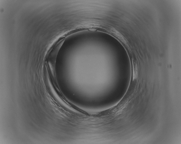 X0000076370387200610161055