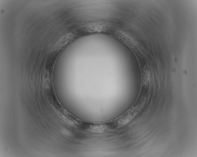 X0000076370414200610161055