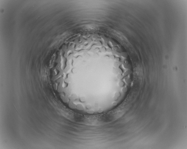 X0000076370423200610161055