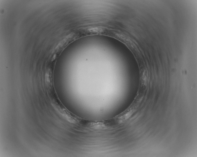 X0000076370424200610161055
