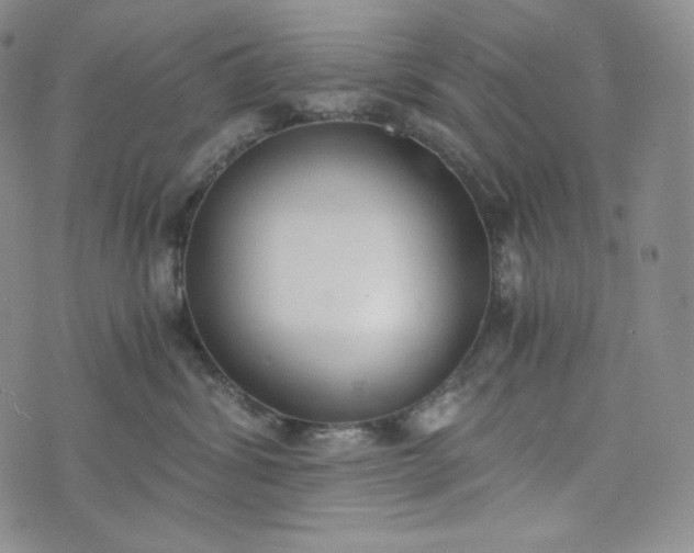 X0000076370428200610161055