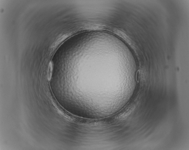 X0000076370433200610161054