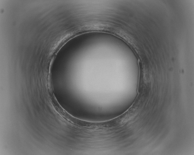 X0000076370434200610161054