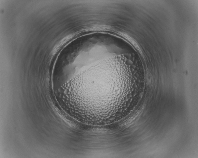 X0000076370437200610161054