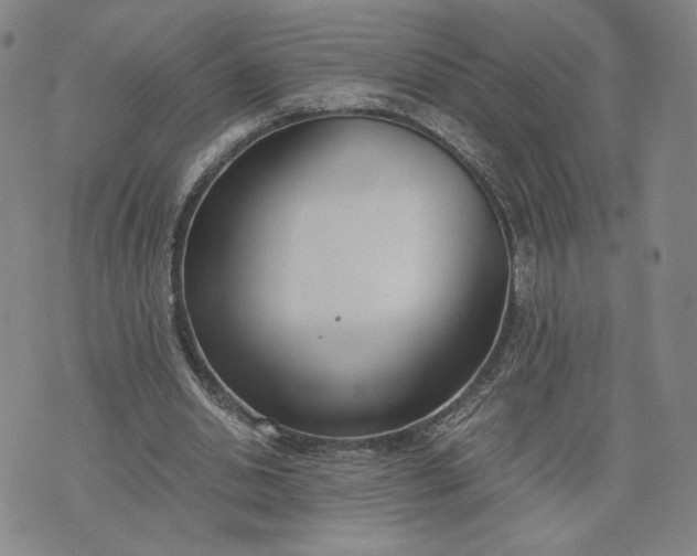 X0000076370438200610161054