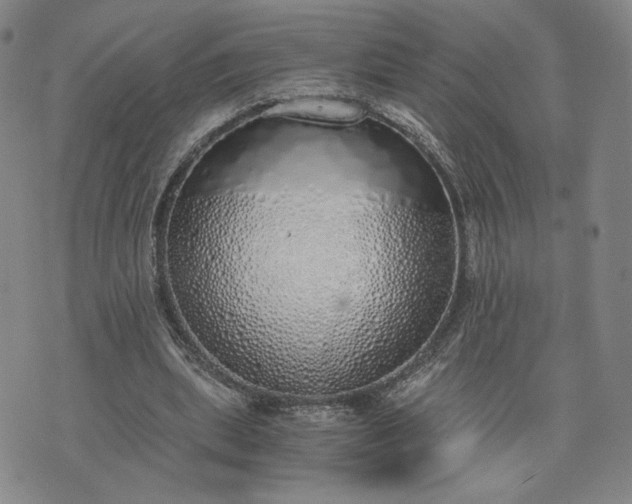 X0000076370439200610161054