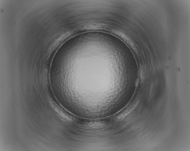 X0000076370445200610161054