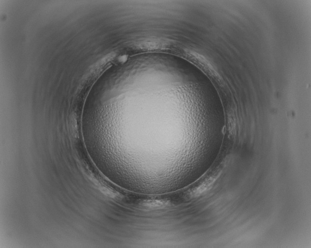 X0000076370453200610161054