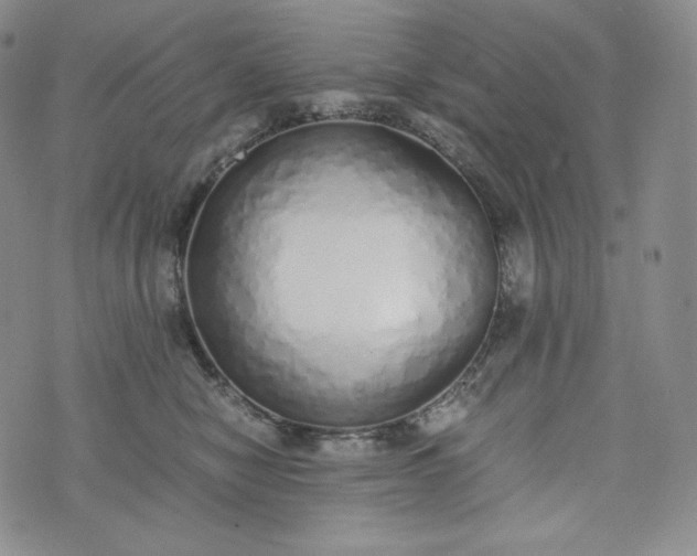 X0000076370470200610161054