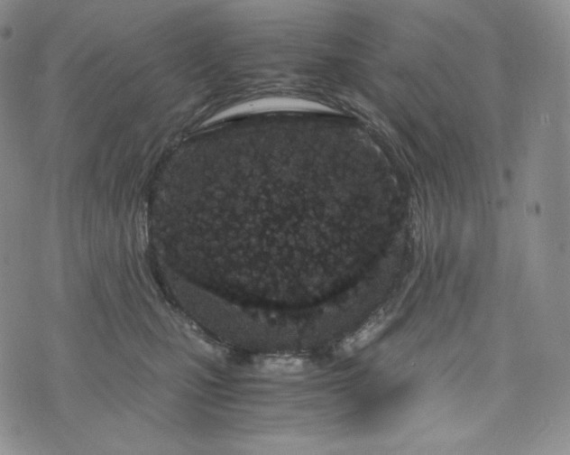 X0000076370471200610161054