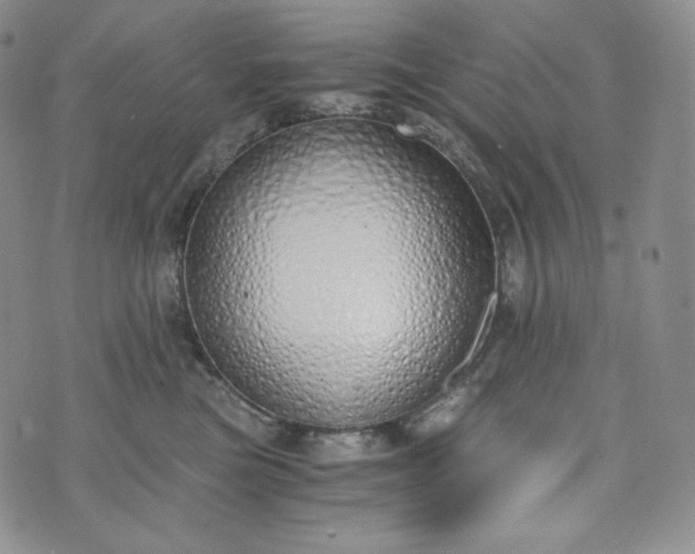 X0000076370473200610161054