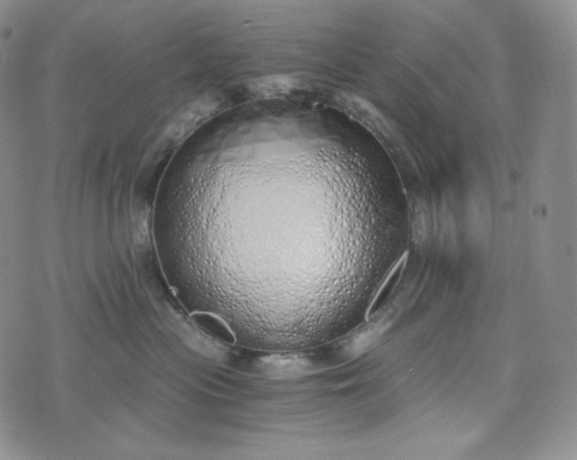 X0000076370477200610161054