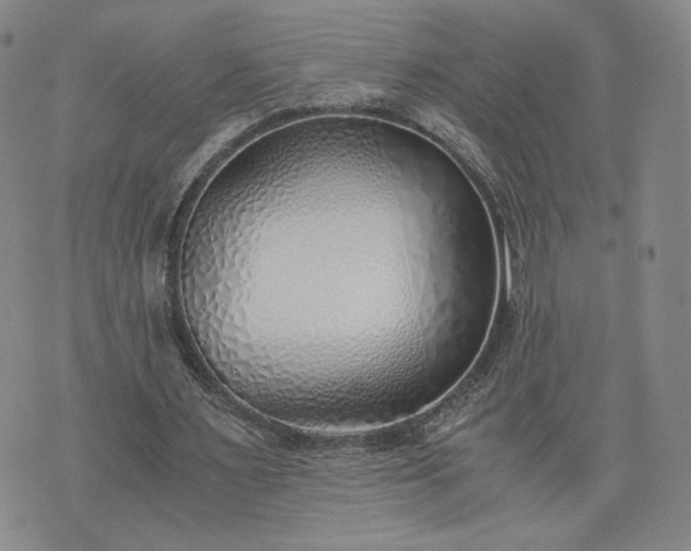 X0000076370483200610161054