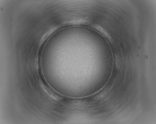 X0000076370486200610161054