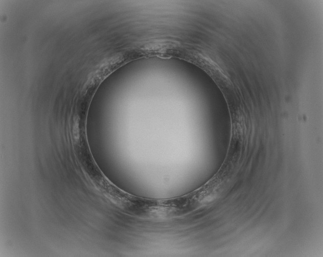 X0000076370504200610161053