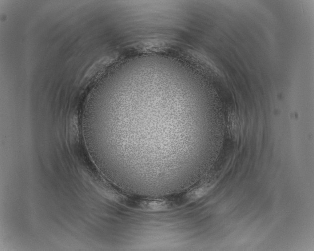 X0000076370506200610161053