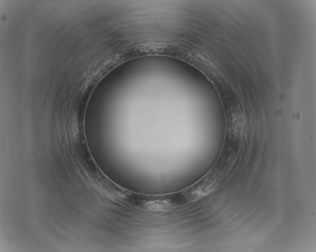 X0000076370508200610161053