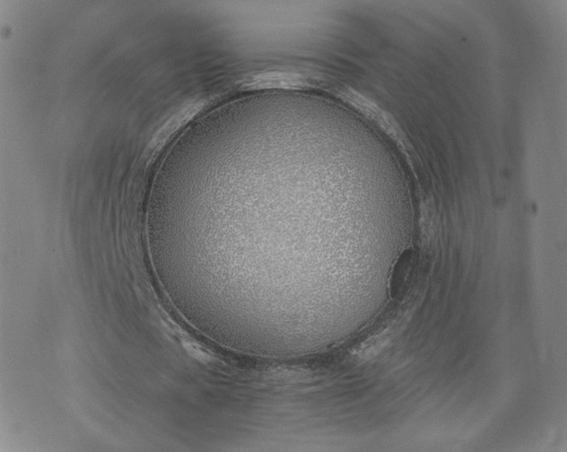 X0000076370529200610161052