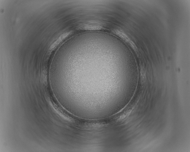 X0000076370533200610161052