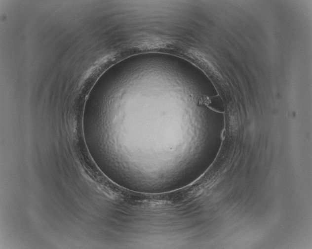 X0000076370539200610161052