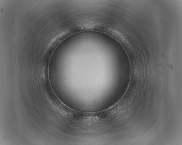 X0000076370543200610161052