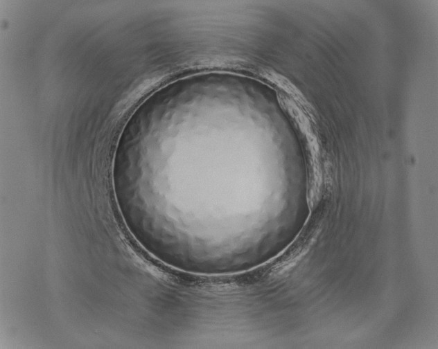X0000076370577200610161052